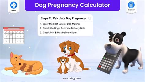 dog due date calculator|Canine Pregnancy Calculator and Calendar